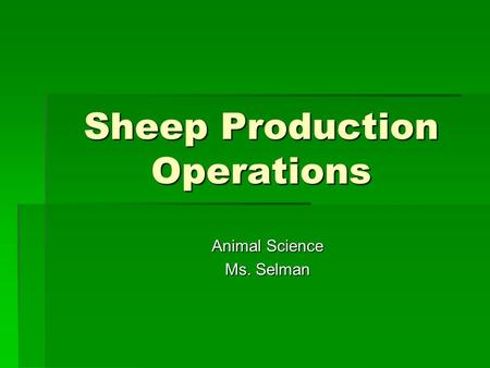 Sheep Production Operations Animal Science Ms. Selman.