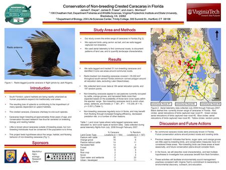 Conservation of Non-breeding Crested Caracaras in Florida James F. Dwyer 1, James D. Fraser 1, and Joan L. Morrison 2 1 106 Cheatham Hall, Department Fisheries.