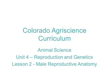 Colorado Agriscience Curriculum Animal Science Unit 4 – Reproduction and Genetics Lesson 2 - Male Reproductive Anatomy.