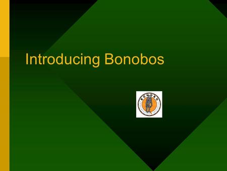 Introducing Bonobos. Have you heard of bonobos? Bonobo Pan paniscus.