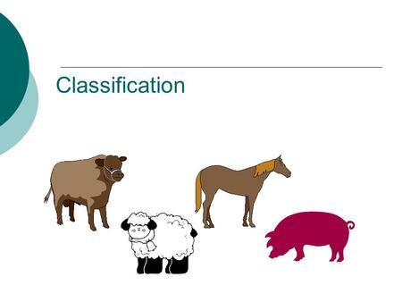 Classification. Classification  GROUPING things according to their CHARACTERISTICS.