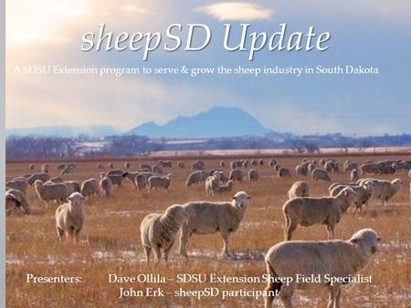 SheepSD Update A SDSU Extension program to serve & grow the sheep industry in South Dakota Presenters:Dave Ollila – SDSU Extension Sheep Field Specialist.