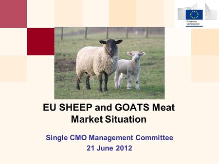 Single CMO Management Committee 21 June 2012 EU SHEEP and GOATS Meat Market Situation.