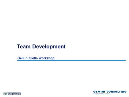 Team Development Gemini Skills Workshop.