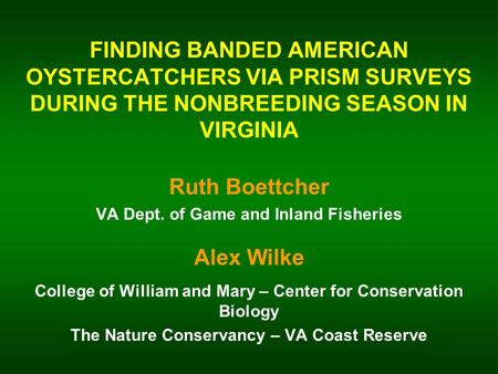 FINDING BANDED AMERICAN OYSTERCATCHERS VIA PRISM SURVEYS DURING THE NONBREEDING SEASON IN VIRGINIA Ruth Boettcher VA Dept. of Game and Inland Fisheries.