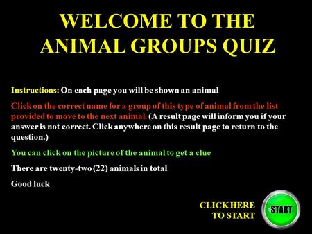 WELCOME TO THE ANIMAL GROUPS QUIZ Instructions: On each page you will be shown an animal Click on the correct name for a group of this type of animal from.