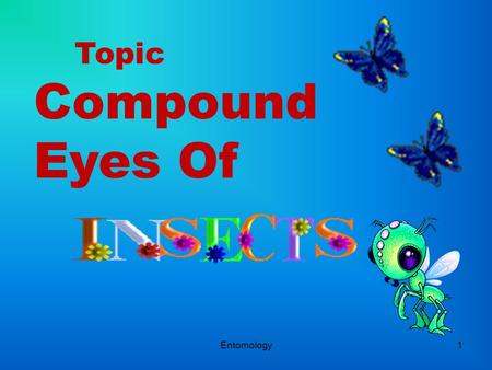Topic Compound Eyes Of Entomology.