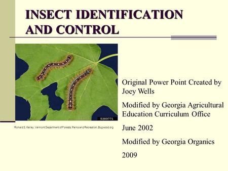 INSECT IDENTIFICATION AND CONTROL Original Power Point Created by Joey Wells Modified by Georgia Agricultural Education Curriculum Office June 2002 Modified.