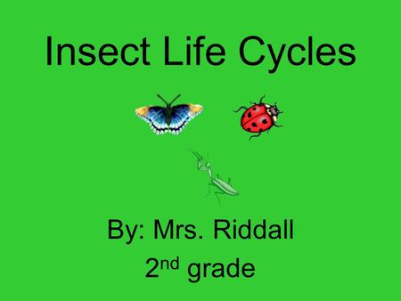 By: Mrs. Riddall 2nd grade
