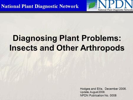 Diagnosing Plant Problems: Insects and Other Arthropods Hodges and Ellis. December 2006. Update, August 2008. NPDN Publication No. 0008.