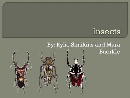 By: Kylie Simikins and Mara Buerkle.  Insects are all over but there are many misunderstandings of what an insect is.  This presentation will teach.