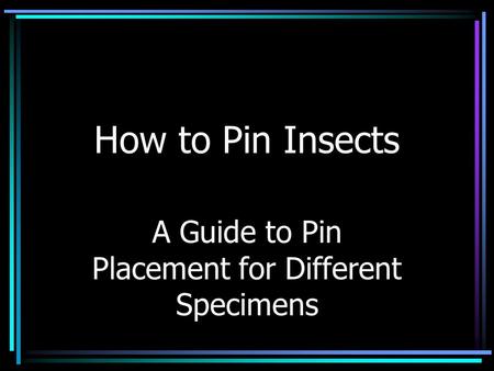 How to Pin Insects A Guide to Pin Placement for Different Specimens.