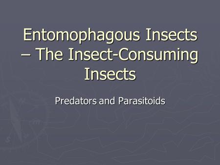 Entomophagous Insects – The Insect-Consuming Insects