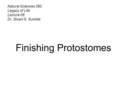 Natural Sciences 360 Legacy of Life Lecture 08 Dr. Stuart S. Sumida Finishing Protostomes.