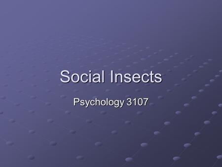 Social Insects Psychology 3107. Introduction Many Insects live in hives, nests or what have you Definite roles for different castes, usually only one.