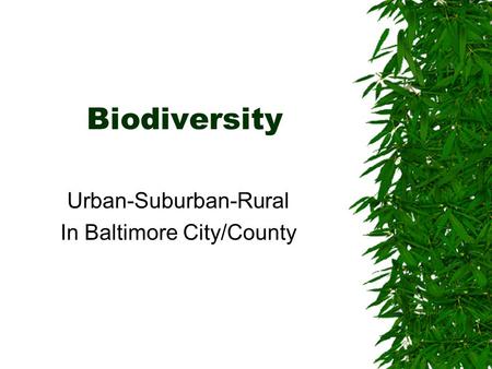 Biodiversity Urban-Suburban-Rural In Baltimore City/County.