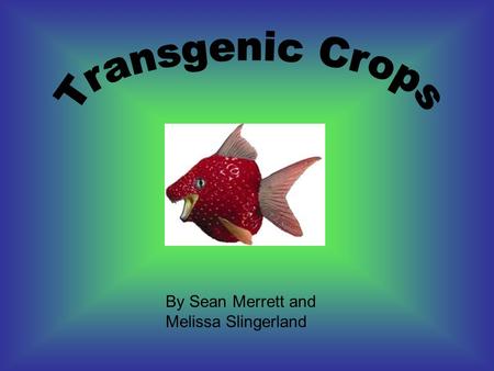 By Sean Merrett and Melissa Slingerland. are also known as genetically modified or GM crops A transgenic crop plant contains a gene or genes which have.