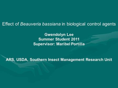 Effect of Beauveria bassiana in biological control agents Gwendolyn Lee Summer Student 2011 Supervisor: Maribel Portilla ARS, USDA, Southern Insect Management.