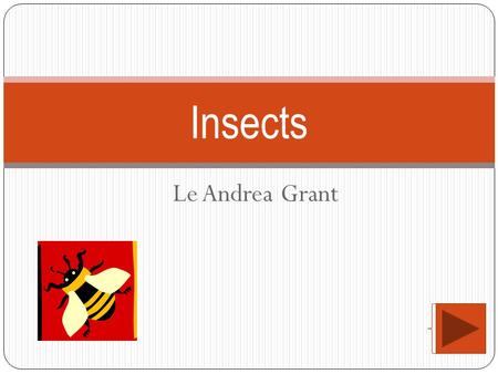 Le Andrea Grant Insects Essential Question: What significant role do insects play in our environment? Unit Question: What are the different types of.