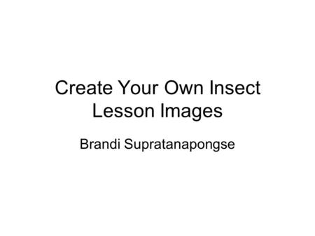 Create Your Own Insect Lesson Images Brandi Supratanapongse.