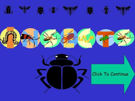 Click To Continue. INSECTS HAVE MAIN BODY PARTS Continue.