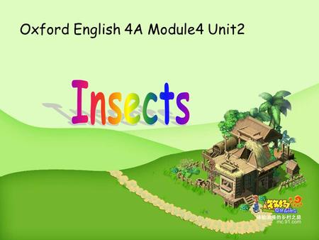 Oxford English 4A Module4 Unit2 a bee h feelers legs a body wings eyes a head h b w f e ltc.