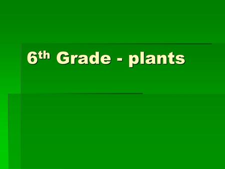 6 th Grade - plants. Purpose of plants  Why do we need plants???