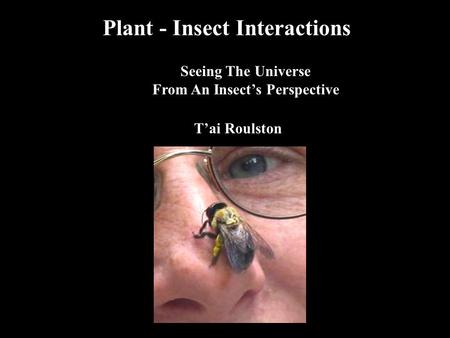 Plant - Insect Interactions Seeing The Universe From An Insect’s Perspective T’ai Roulston.