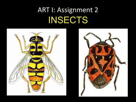 ART I: Assignment 2 INSECTS