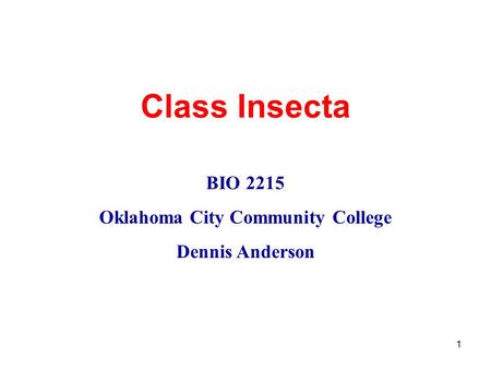 1 Class Insecta BIO 2215 Oklahoma City Community College Dennis Anderson.