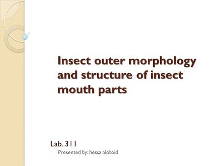 Insect outer morphology and structure of insect mouth parts