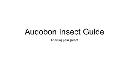 Audobon Insect Guide Knowing your guide!. Your Insect Guide Organization Introduction (pg. 11): Includes anatomy tips! Introduction (pg. 25): Gives some.