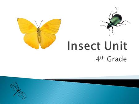 4 th Grade.  Insects are _________________ ◦ Arthropods have _________________ made of _________. ◦ Arthropods have _________________________ (legs).