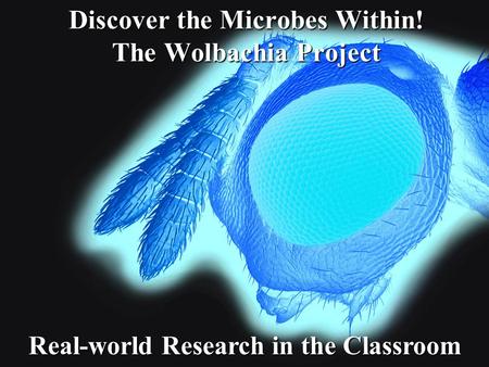 Discover the Microbes Within! The Wolbachia Project Real-world Research in the Classroom.