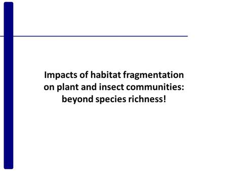 Impacts of habitat fragmentation on plant and insect communities: beyond species richness!