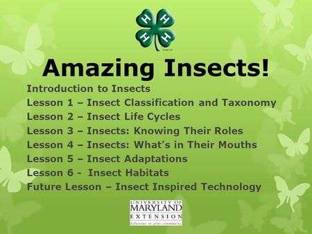 Amazing Insects! Introduction to Insects Lesson 1 – Insect Classification and Taxonomy Lesson 2 – Insect Life Cycles Lesson 3 – Insects: Knowing Their.
