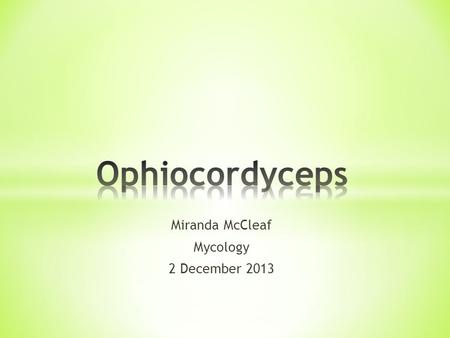 Miranda McCleaf Mycology 2 December 2013. * Characteristics of the genus Ophiocordyceps * Taxonomic specifications * Life Cycle Characteristics * Three.