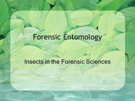 Insects in the Forensic Sciences