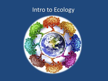 Intro to Ecology. A. Population 1. What level of organization in ecology describes an individual form of life, such as a plant, animal, bacterium, protist,