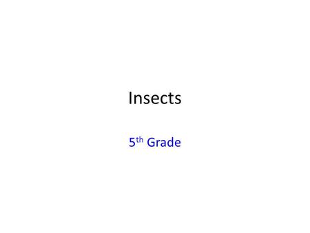 Insects 5th Grade.