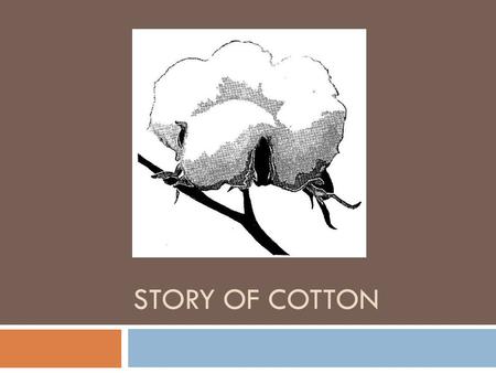 Story of cotton.