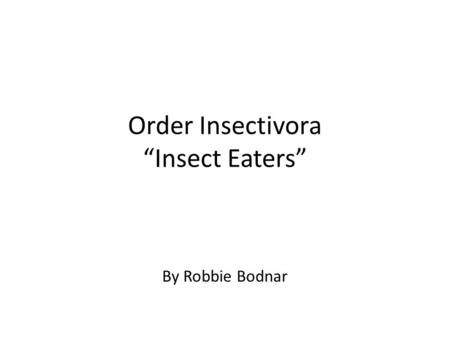 Order Insectivora “Insect Eaters” By Robbie Bodnar.