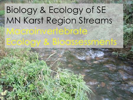 Biology & Ecology of SE MN Karst Region Streams Macroinvertebrate Ecology & Bioassessments.