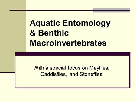 With a special focus on Mayflies, Caddisflies, and Stoneflies Aquatic Entomology & Benthic Macroinvertebrates.