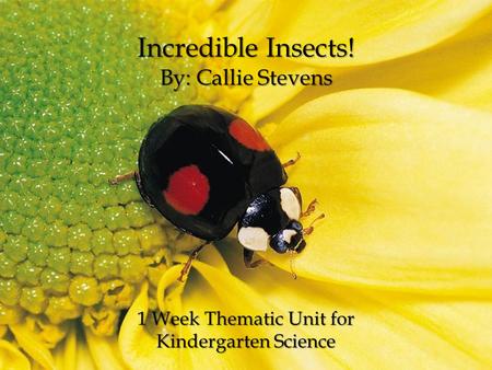 Incredible Insects! By: Callie Stevens 1 Week Thematic Unit for Kindergarten Science.