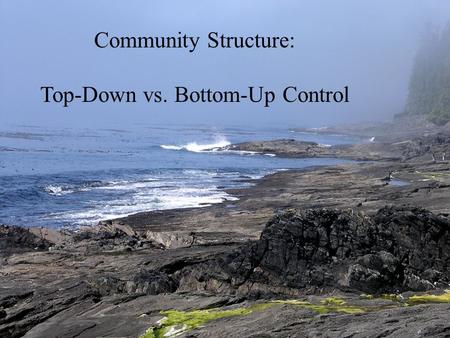 Community Structure: Top-Down vs. Bottom-Up Control.