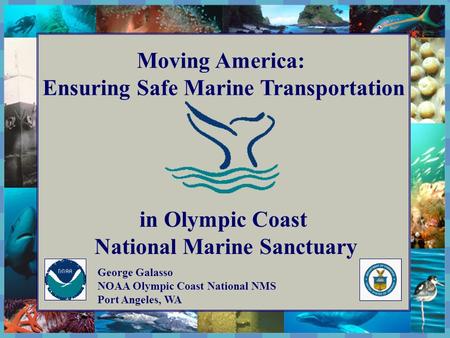 The National Marine Sanctuary Program Moving America: Ensuring Safe Marine Transportation in Olympic Coast National Marine Sanctuary George Galasso NOAA.