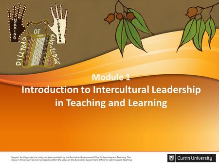 Module 1 Introduction to Intercultural Leadership in Teaching and Learning.