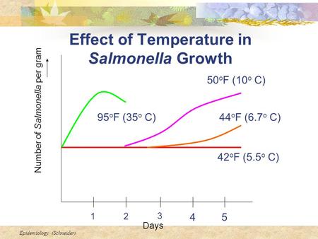 Epidemiology (Schneider) Effect of Temperature in Salmonella Growth Number of Salmonella per gram Days 21 45 3 95 o F (35 o C) 50 o F (10 o C) 44 o F (6.7.