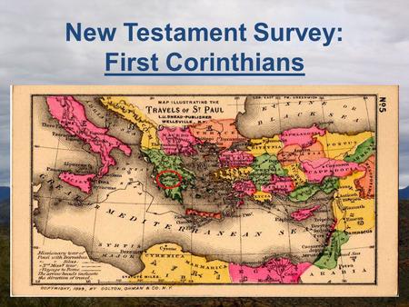 New Testament Survey: First Corinthians. The Author External evidence clearly shows that the apostle Paul authored the book. Internal evidence of Paul’s.